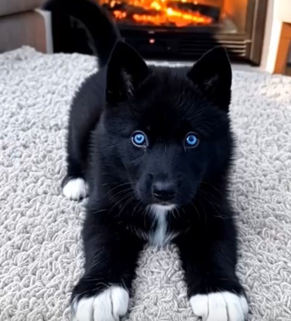 WhatsApp Image 2025-11-16 at 00.05.32