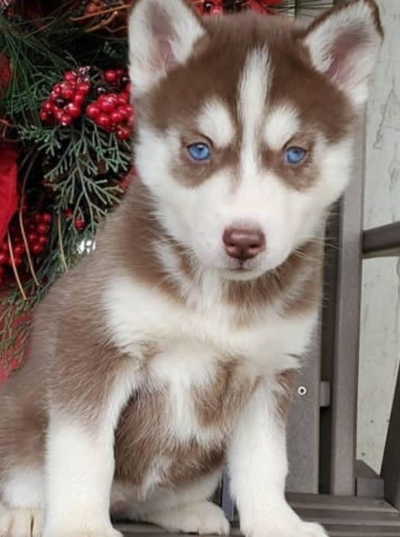 WhatsApp Image 2025-11-18 at 11.54.01